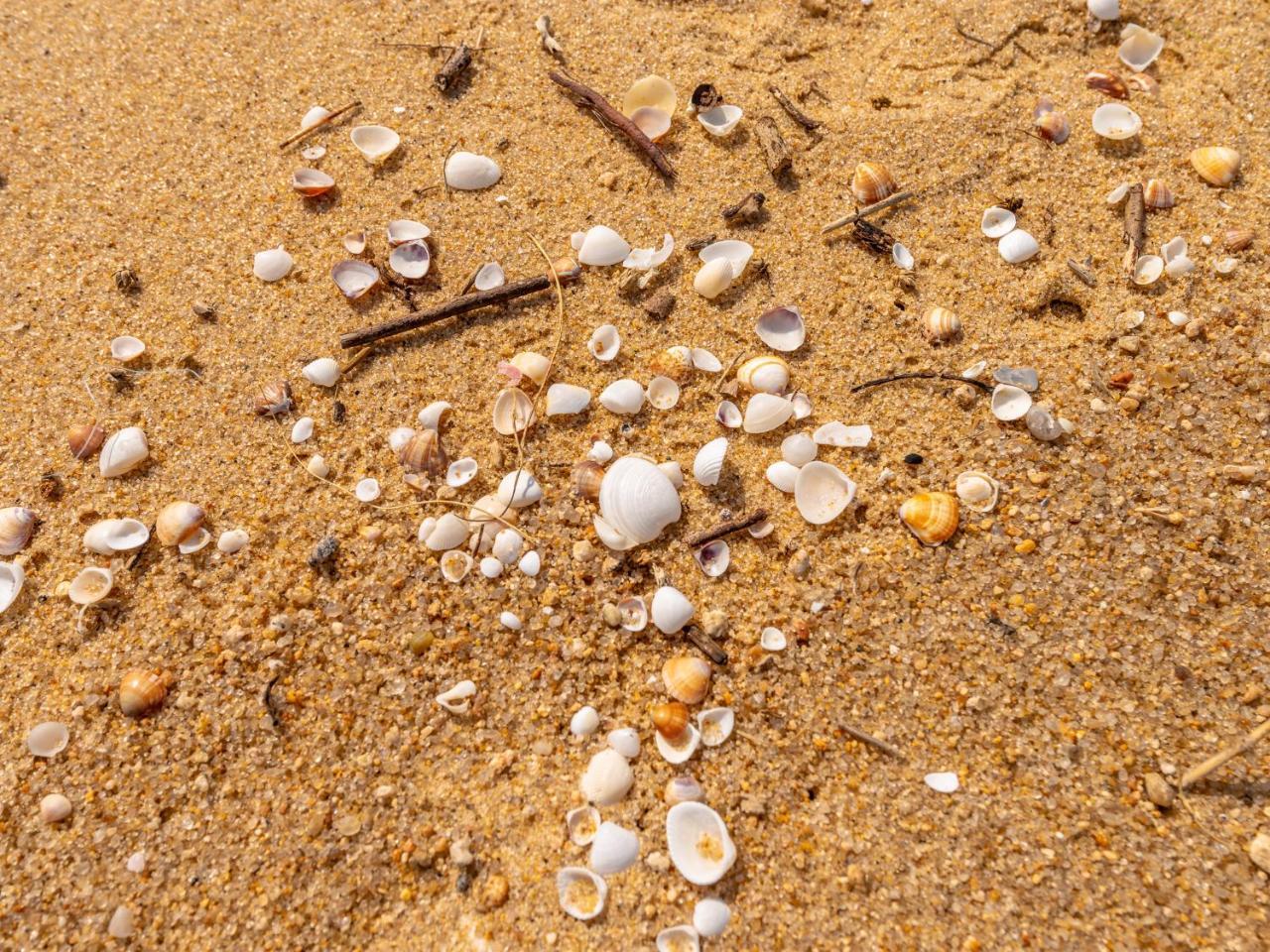 Pousada Pe Na Areia Caraguatatuba Bagian luar foto